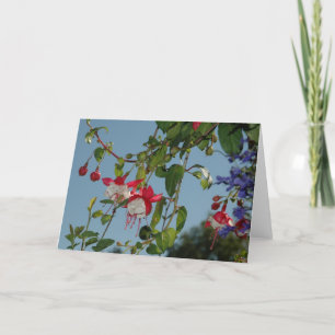 Red and White Bells Card