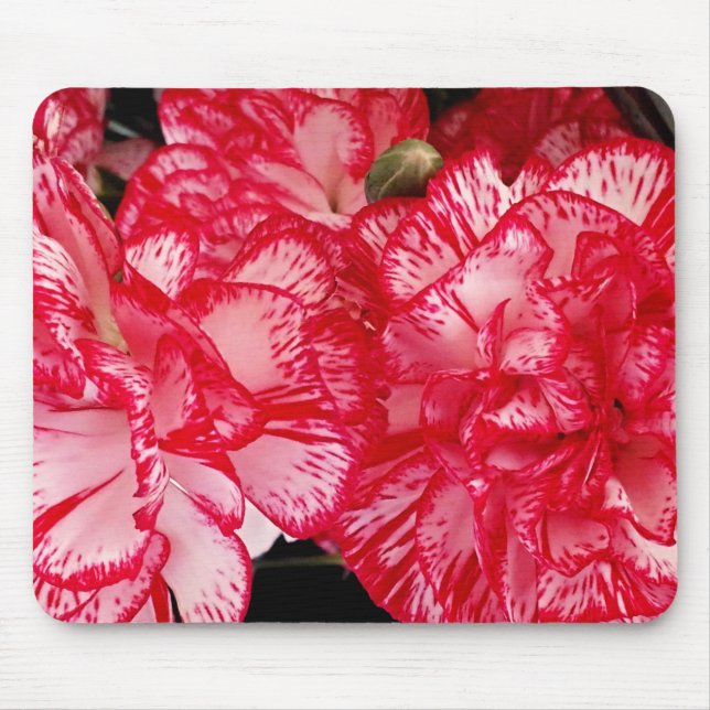 Red and White Carnation-Computer Mousepad (Front)