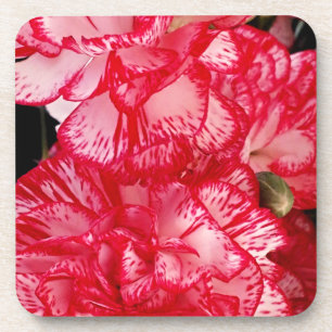 Red and White Carnations-CORK COASTER SET