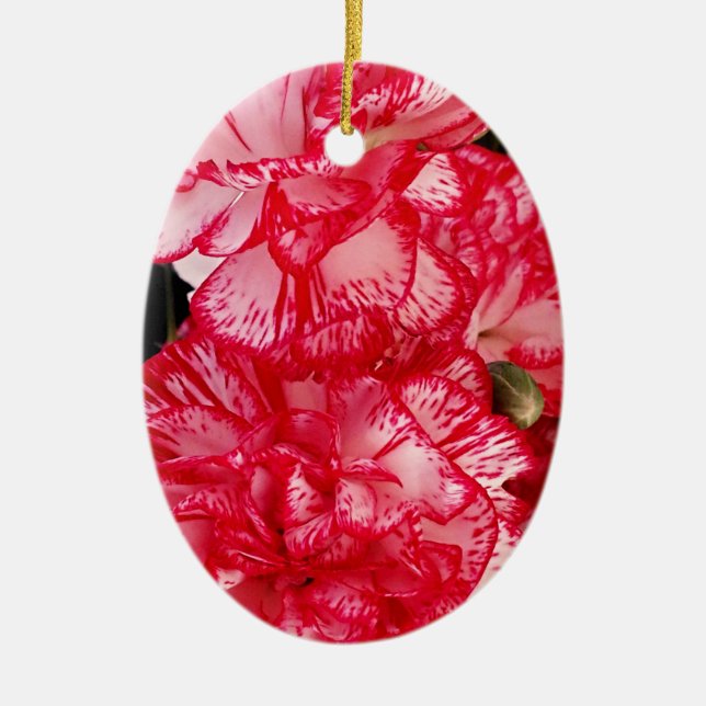 Red and White Carnations-OVAL ORNAMENT (Front)