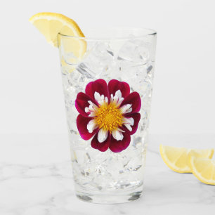 Red and White Collarette Dahlia Floral Drinking Glass