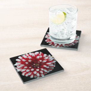 Red and White Dahlia Flower Glass Coaster