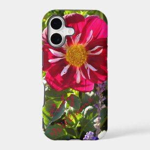 Red And White Dahlia Flower iPhone 5 *Personalise*