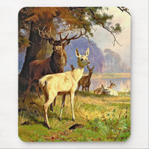 Red And White Deer Near A Forest Pond Mouse Pad