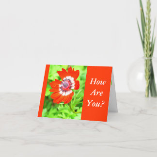 RED AND WHITE FLOWER/ HOW ARE YOU? (CUSTOMIZABLE) CARD