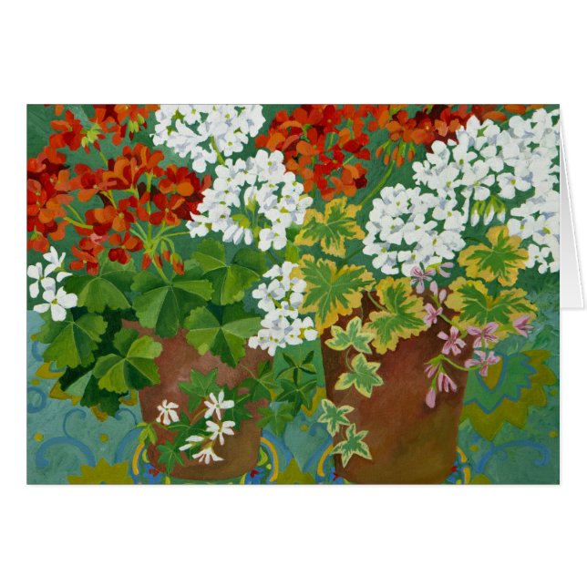 Red and white geraniums in pots 2013 (Front Horizontal)