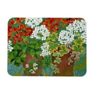 Red and white geraniums in pots 2013 magnet