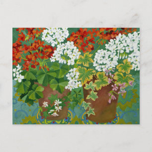 Red and white geraniums in pots 2013 postcard
