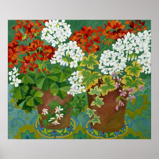 Red and white geraniums in pots 2013 poster (Front)