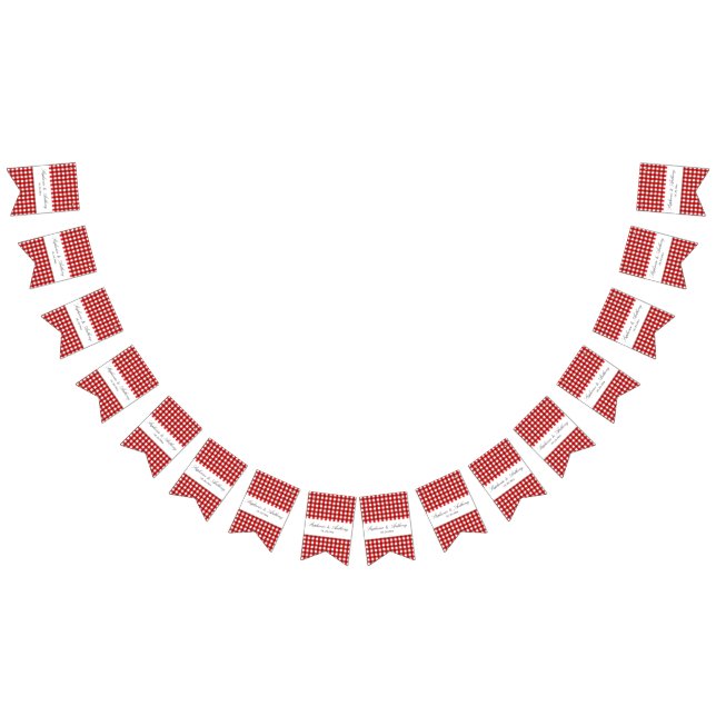 Red and White Gingham Pattern Barbeque Wedding Bunting (All)