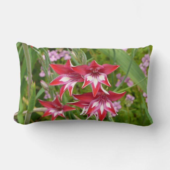 Red and White Gladiolas Summer Botanical Lumbar Cushion (Front)
