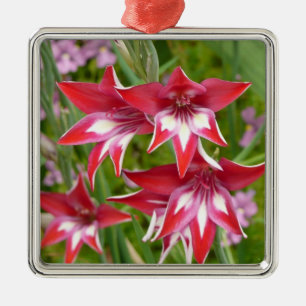 Red and White Gladiolas Summer Botanical Metal Tree Decoration