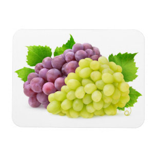 Red and white grapes magnet