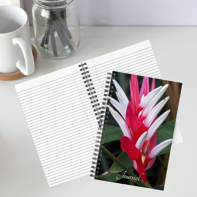 Red and White Heliconia Floral Notebook (In Situ)