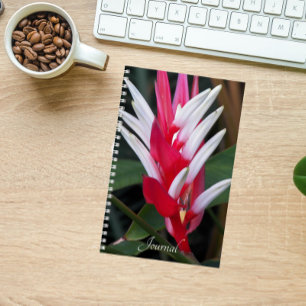 Red and White Heliconia Floral Notebook