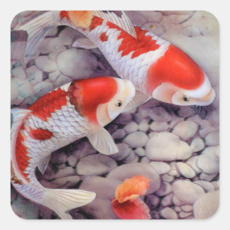 Red and White Koi Fish Pond Square Sticker
