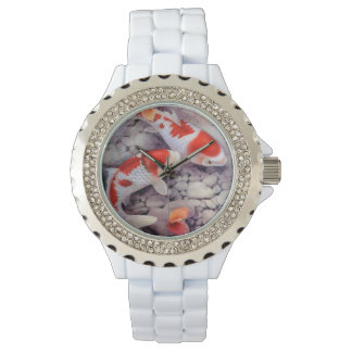 Red and White Koi Fish Pond Watch