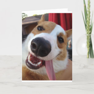 Red and White Pembroke Welsh Corgi Card