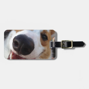 Red and White Pembroke Welsh Corgi Luggage Tag