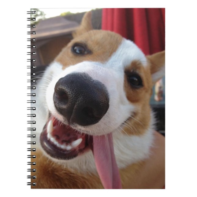 Red and White Pembroke Welsh Corgi Notebook (Front)