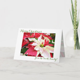 Red and White Poinsettia Holiday Christmas Card