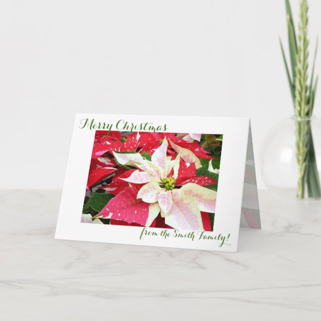 Red and White Poinsettia Holiday Christmas Card (Front)