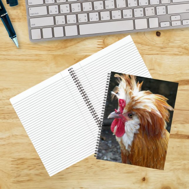 Red and White Polish Chicken Notebook (In Situ)