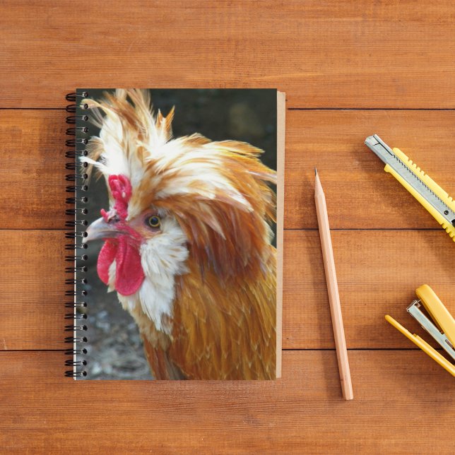 Red and White Polish Chicken Notebook (In Situ)
