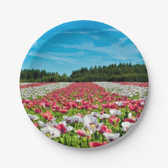 Red and White Poppy Field Paper Plate (Front)