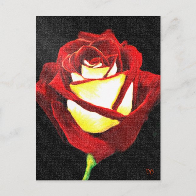 Red and White Rose Cards (Front)