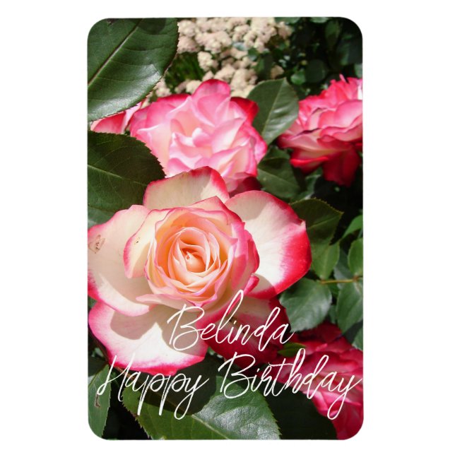 Red and White Rose Flower Floral Roses Card Magnet (Vertical)