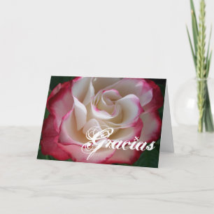 Red and White Rose Gracias Thank You Card