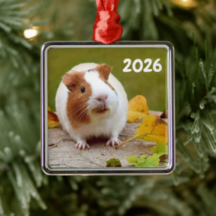 Red and White Smooth Guinea Pig  Metal Ornament