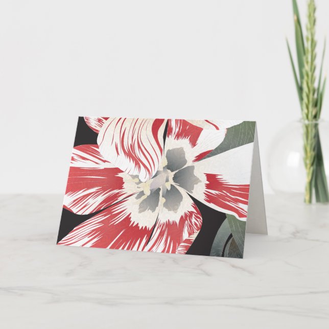 Red and White Tulip Blank Card (Front)