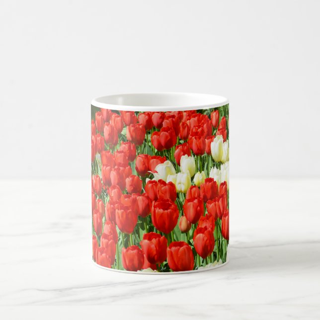 Red and white tulips coffee mug (Center)