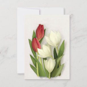Red and White Tulips Floral Card