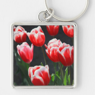 Red and white tulips key ring