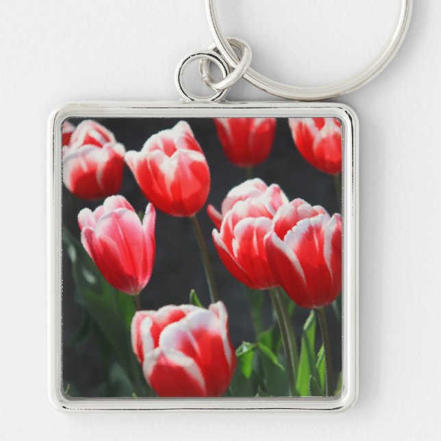 Red and white tulips key ring (Front)