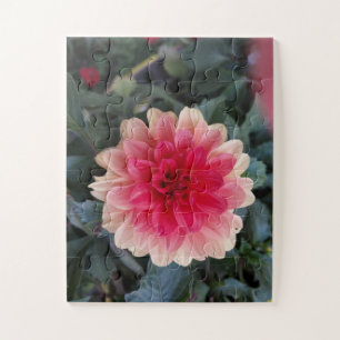 Red and White Varigated Dahlia Jigsaw Puzzle
