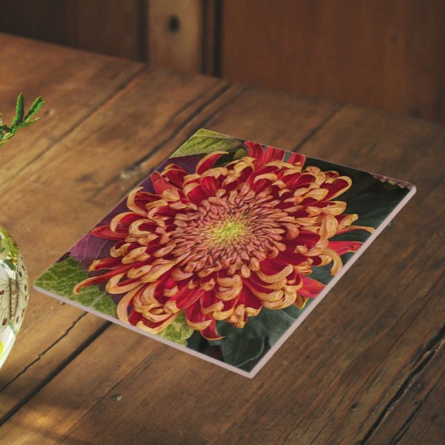 Red and Yellow Chrysanthemum Floral Ceramic Tile (In Situ)
