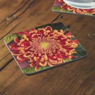 Red and Yellow Chrysanthemum Floral Coaster