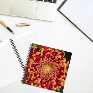 Red and Yellow Chrysanthemum Floral Notebook