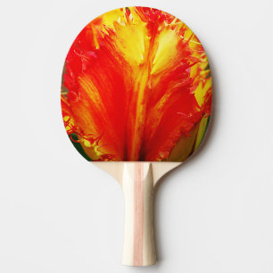 Red And Yellow Close-up Curly Tulip Ping Pong Paddle
