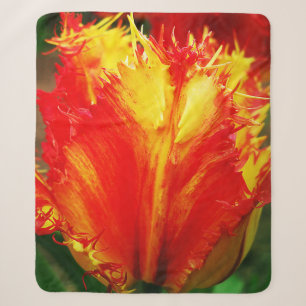 Red And Yellow Close-up Curly Tulip Sherpa Blanket