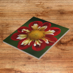 Red and Yellow Collarette Dahlia Floral Ceramic Tile