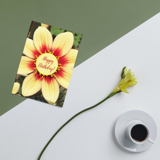 Red and Yellow Dahlia Floral Birthday Card (In Situ)