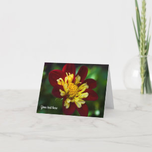 Red and yellow Dahlia flower Greeting card