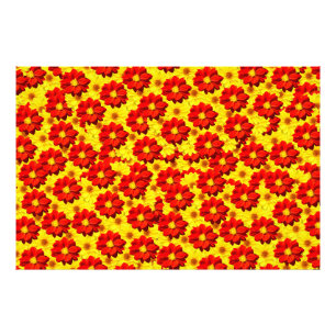 Red and yellow dahlia flowers photo print