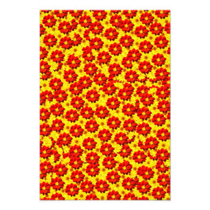 Red and yellow dahlia flowers photo print