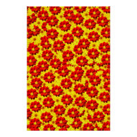 Red and yellow dahlia flowers